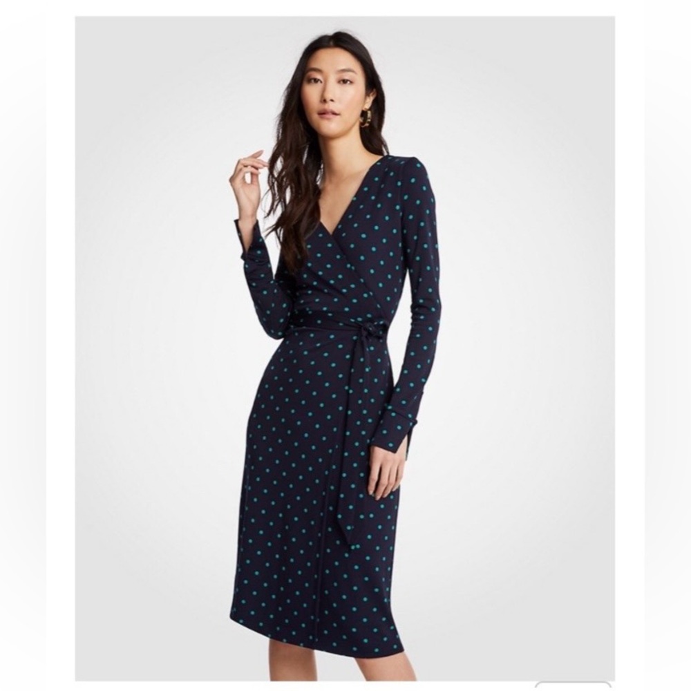 Ann Taylor Dark Blue Dress with Teal Dots